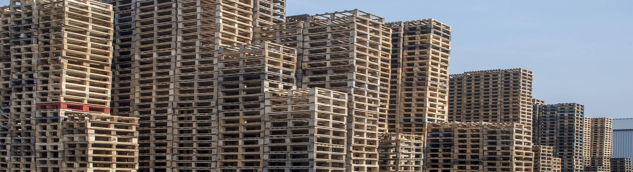 Spruijt Pallethandel Ritthem